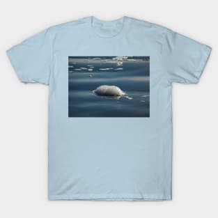 The Splendor of Sea Foam T-Shirt